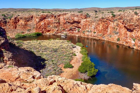 Ningaloo In A Day - Full Day Hike And Snorkel Tour With Lunch - Rental Cars 2