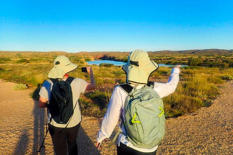 Ningaloo In A Day - Full Day Hike And Snorkel Tour With Lunch - Rental Cars 3