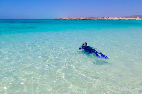 Ningaloo In A Day - Full Day Hike And Snorkel Tour With Lunch - Rental Cars 4