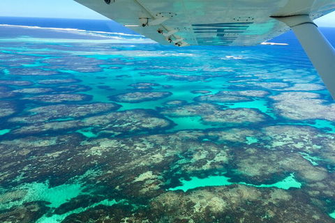 Kalbarri, Pink Lake And Abrolhos Islands Nature Tour - Rental Cars 5