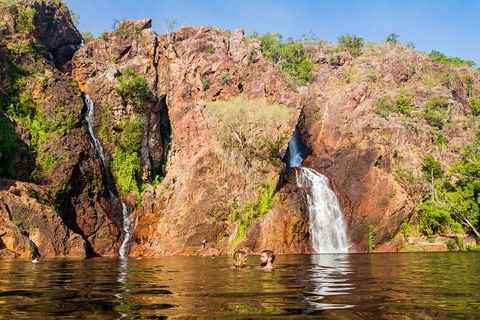 Litchfield National Park Day Tour From Darwin - Rental Cars 0