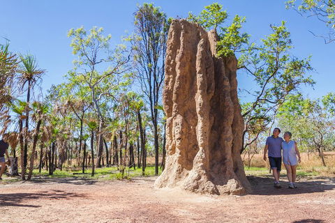 Litchfield National Park Day Tour From Darwin - Rental Cars 2