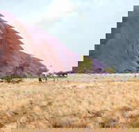 Uluru Sunrise and Guided Base Walk - Rental Cars