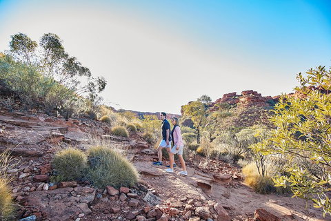 Kings Canyon Guided Rim Walk - Rental Cars 5