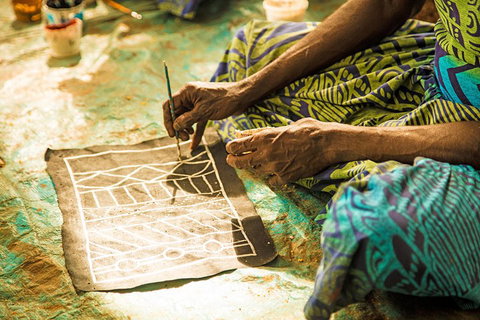 Tiwi Islands Cultural Experience From Darwin Including Ferry - Rental Cars 1