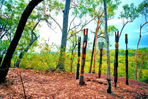 Tiwi Islands Cultural Experience From Darwin Including Ferry - Rental Cars 3