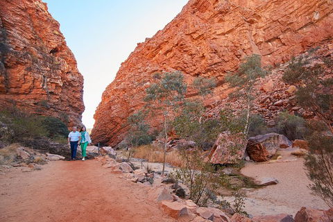 Best Of Alice Springs Full Day Tour - Rental Cars 1