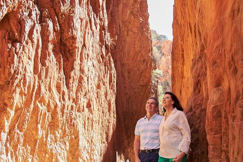 Best Of Alice Springs Full Day Tour - Rental Cars 4