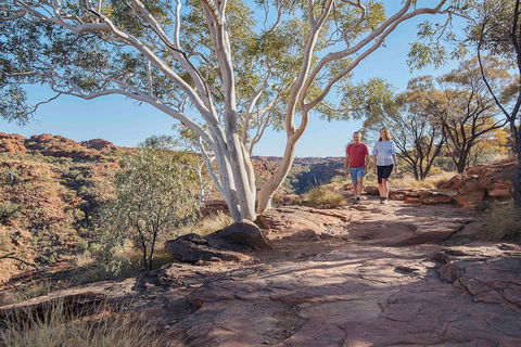 3-Day Tour From Uluru (Ayers Rock) To Alice Springs Via Kings Canyon - Rental Cars 1