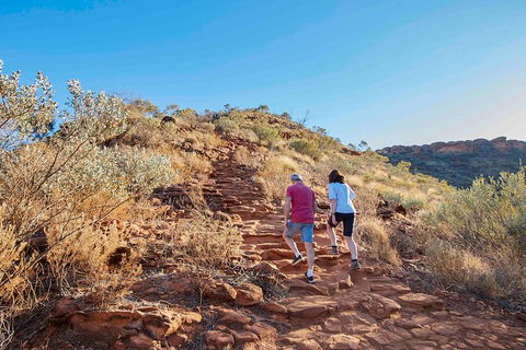 3-Day Tour From Uluru (Ayers Rock) To Alice Springs Via Kings Canyon - Rental Cars 3