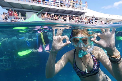 Great Barrier Reef Day Cruise From Cairns Including Snorkeling And Marine Biologist Presentation - Rental Cars 0