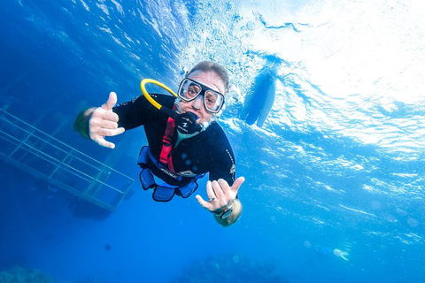 Great Barrier Reef Day Cruise From Cairns Including Snorkeling And Marine Biologist Presentation - Rental Cars 3