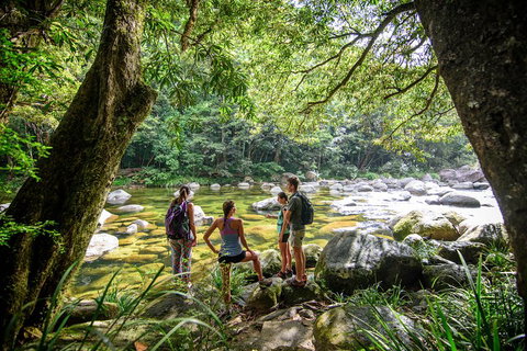 Private Daintree Mossman Gorge Exclusive Nature And Wildlife Focus - Rental Cars 5