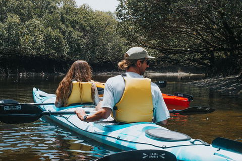 Kayak Tour In Adelaide Dolphin Sanctuary - Rental Cars 2
