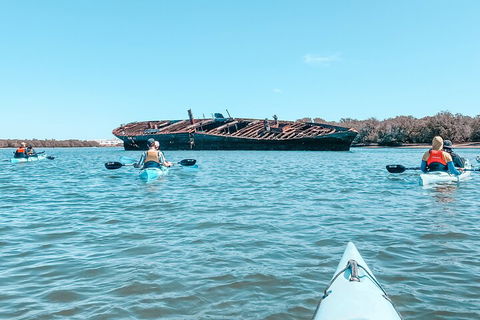 Kayak Tour In Adelaide Dolphin Sanctuary - Rental Cars 3