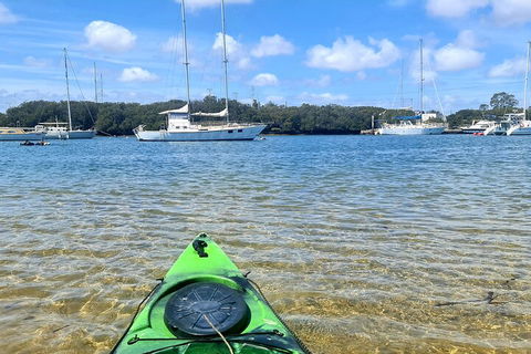 Kayak Tour In Adelaide Dolphin Sanctuary - Rental Cars 4