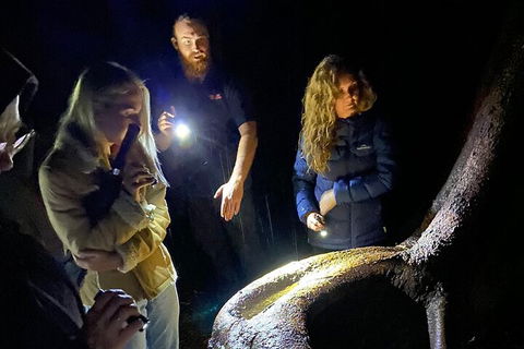 Evening Rainforest & Glow Worm Experience - Rental Cars 2