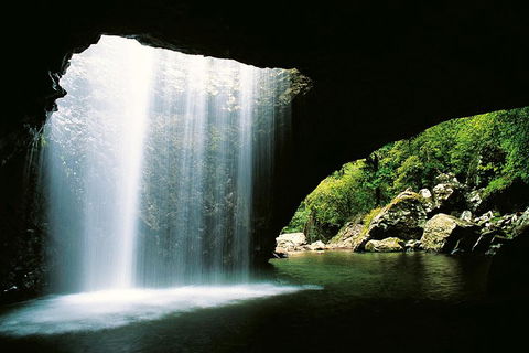 Natural Bridge & Springbrook Waterfalls Tour - Rental Cars 0