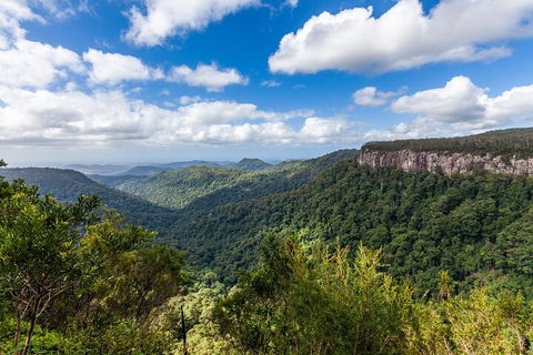 Natural Bridge & Springbrook Waterfalls Tour - Rental Cars 1