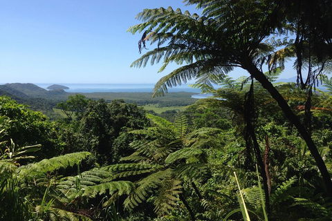 Daintree And Cape Tribulation Full Day Guided Tour - Rental Cars 2