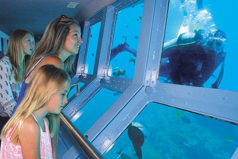 Quicksilver Outer Great Barrier Reef Snorkel Cruise From Palm Cove - Rental Cars 0