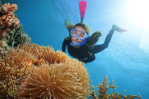 Quicksilver Outer Great Barrier Reef Snorkel Cruise From Palm Cove - Rental Cars 2