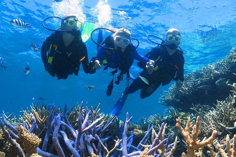 Quicksilver Outer Great Barrier Reef Snorkel Cruise From Palm Cove - Rental Cars 3
