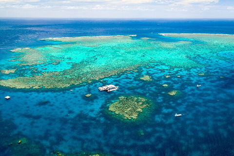 Quicksilver Outer Great Barrier Reef Snorkel Cruise From Palm Cove - Rental Cars 4