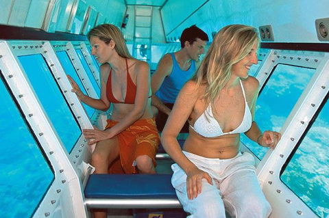 Quicksilver Outer Great Barrier Reef Snorkel Cruise From Palm Cove - Rental Cars 5