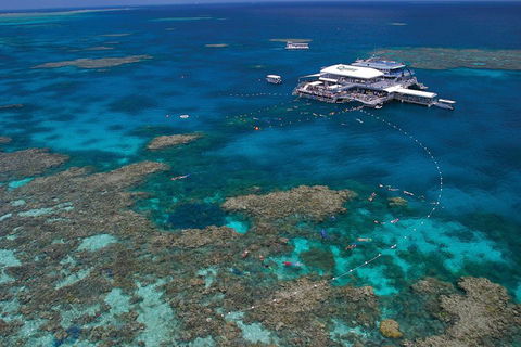 Quicksilver Outer Great Barrier Reef Snorkel Cruise From Port Douglas - Rental Cars 3