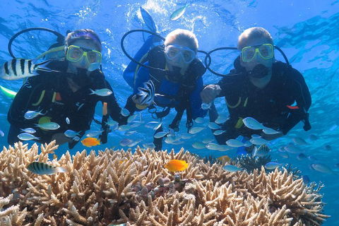 Quicksilver Outer Great Barrier Reef Snorkel Cruise From Port Douglas - Rental Cars 4