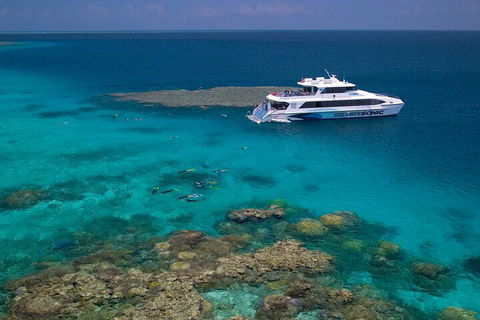 Silversonic Outer Great Barrier Reef Dive And Snorkel Cruise From Port Douglas - Rental Cars 2