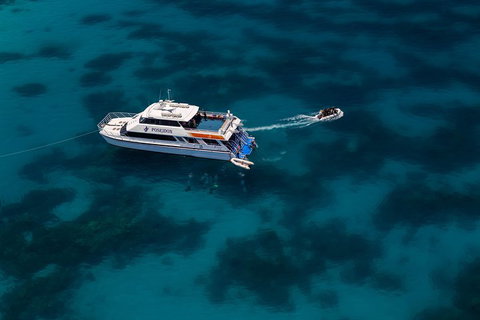 Quicksilver Dive 4 Day PADI Learn To Dive Course - Rental Cars 1