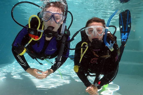 Quicksilver Dive 4 Day PADI Learn To Dive Course - Rental Cars 2