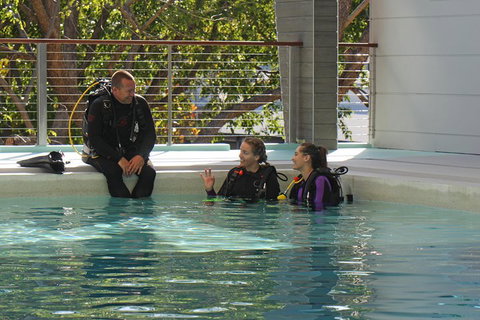 Quicksilver Dive 4 Day PADI Learn To Dive Course - Rental Cars 3