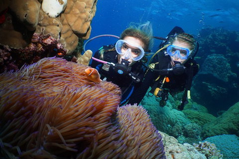 Quicksilver Dive 4 Day PADI Learn To Dive Course - Rental Cars 4