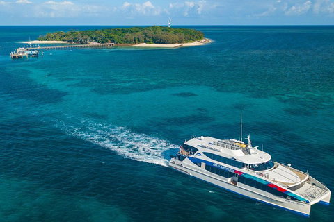 Ultimate 3-Day Great Barrier Reef Cruise Pass - Rental Cars 4