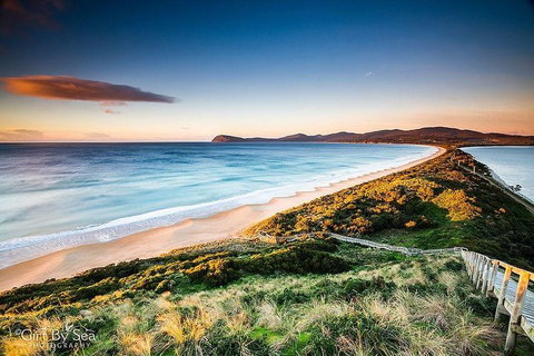 Bruny Island Private Charter Service - Rental Cars 0