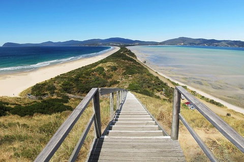 Bruny Island Private Charter Service - Rental Cars 4