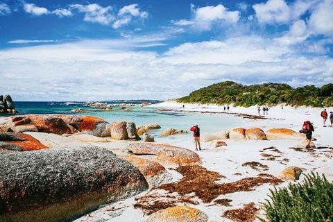 Wineglass Bay Private Charter Service - Rental Cars 3