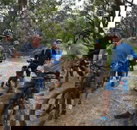 Fully guided E-Mountain Bike Tour on the beautiful Mornington Peninsula. - Rental Cars