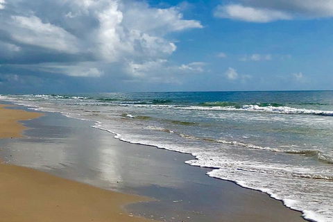 3 Nights 2 Full Days Private Guided Tour Of The Sunshine Coast And Hinterland - Rental Cars 4