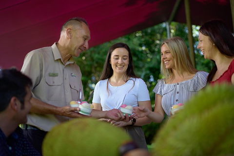 Daintree And Cape Tribulation Tour From Cairns - Rental Cars 5