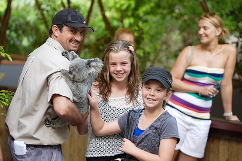 Hartley's Crocodile Adventure Half-Day Tour - Rental Cars 3
