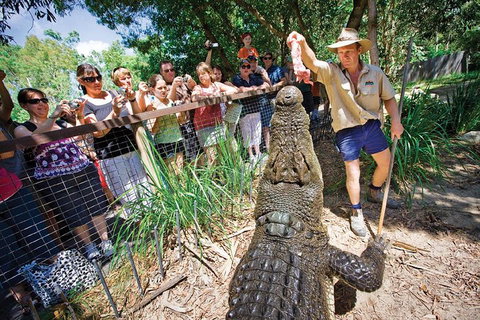 Hartley's Crocodile Adventure Half-Day Tour - Rental Cars 4