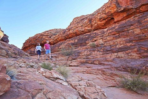 The Amazing Kings Canyon: 4-Hours Walking Tour And Hike - Rental Cars 5
