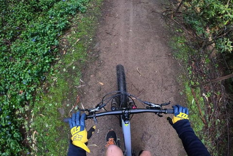 Explore Downhill Mountain In 3-Hour Bike Tour From Hobart - Rental Cars 2