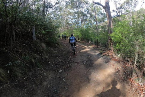 Explore Downhill Mountain In 3-Hour Bike Tour From Hobart - Rental Cars 3