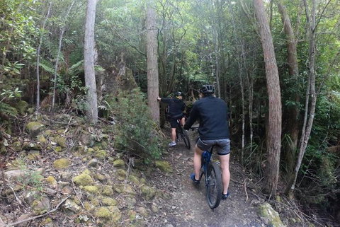 Explore Downhill Mountain In 3-Hour Bike Tour From Hobart - Rental Cars 4