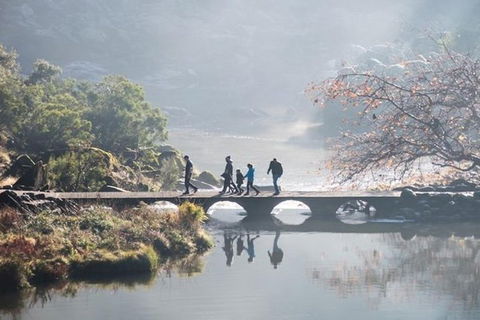 3.5 Hours Walking Tour To Cataract Gorge With Local Guide - Rental Cars 0